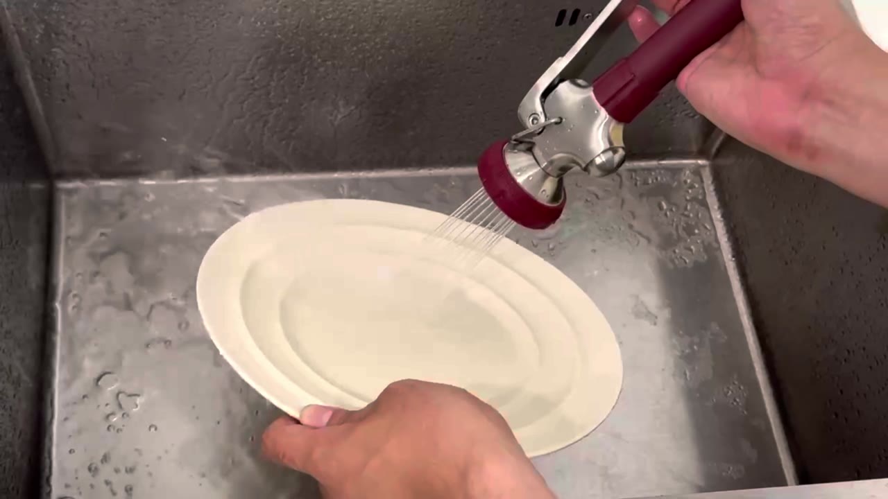 Rinsing a plate under the spray head in a commercial stainless steel sink
